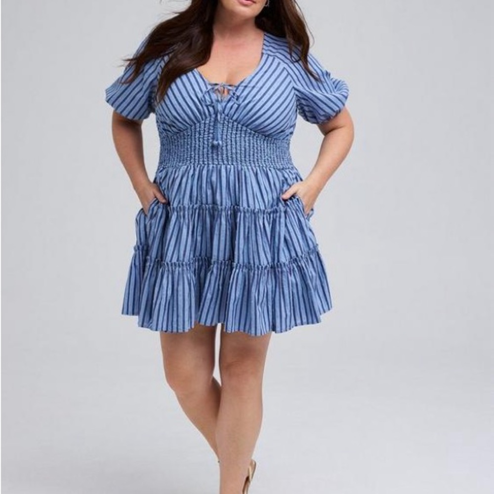 NWT Light Blue and Navy Vertical Stripe Dress